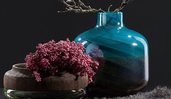 Leonardo Vasen und Schalen